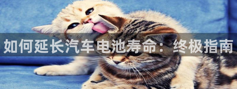 优发国际不出款怎么办