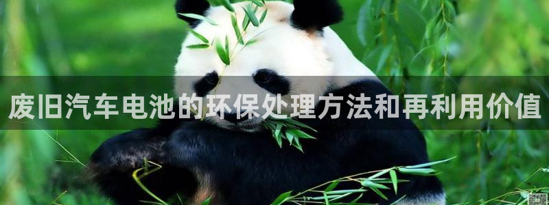 优发国际官方网手机版下载安装