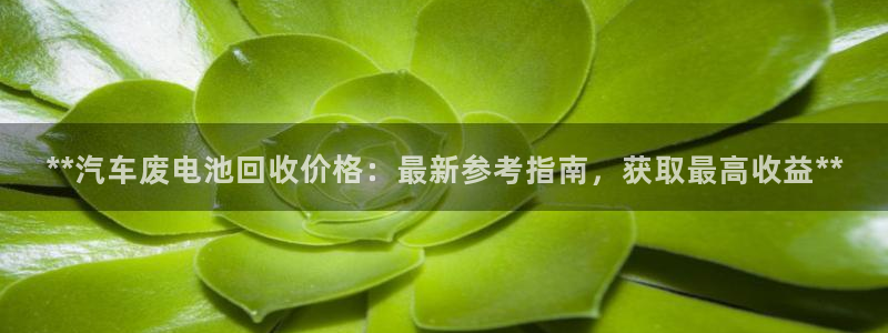 优发国际首页首页y6