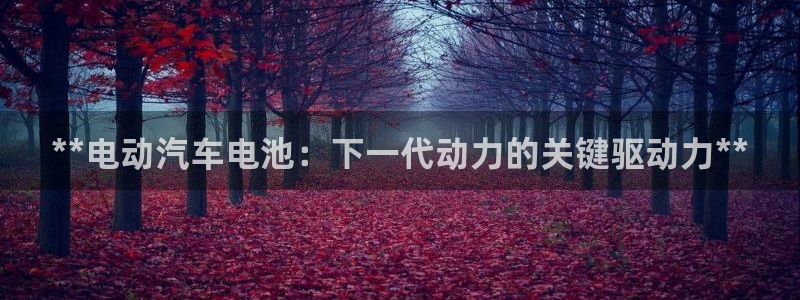 优发国际手机版官网