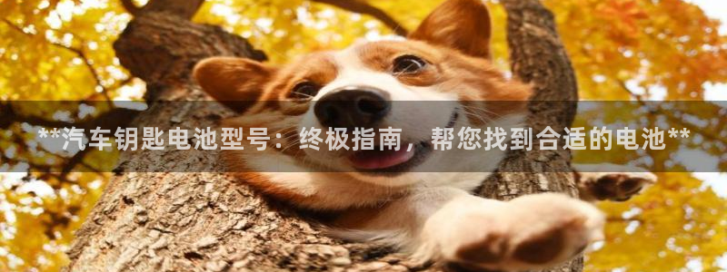 优发国际手机客户端下载不了