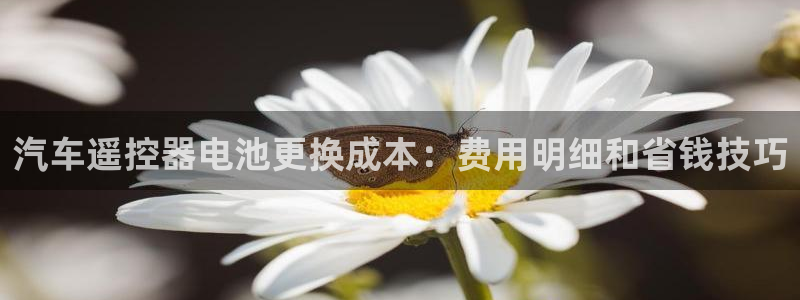 优发国际官方网手机版
