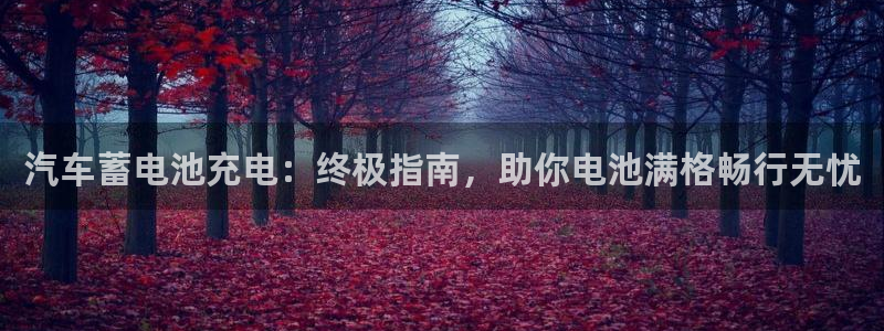 优发国际平台APP