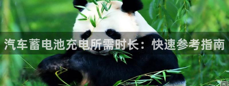 优发国际集团股份有限公司招聘