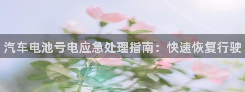 优发国际手机客户端下载安装手机版