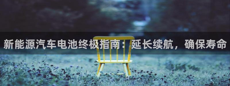 优发国际多少钱