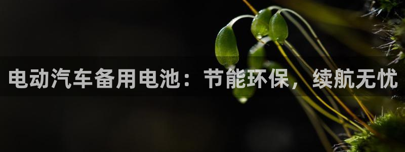 优发国际官网下载手机版