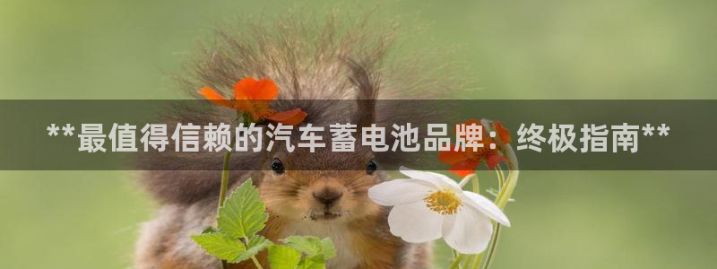 优发国际 干什么的
