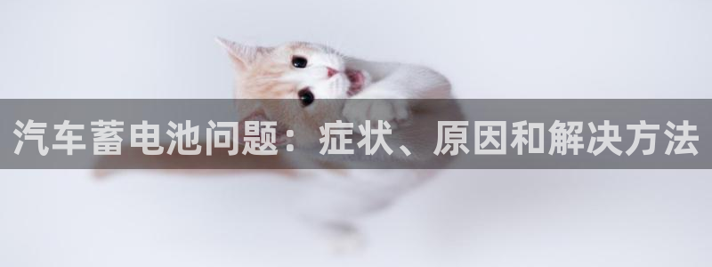 优发国际官方网手机版app