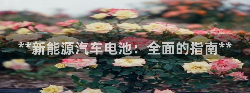 优发国际官网值是多少