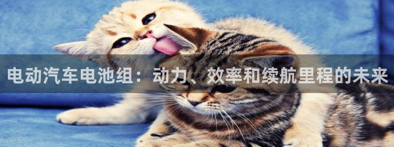 优发国际这个平台怎么样知乎
