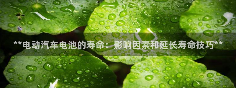 优发国际官方网手机版下载安装