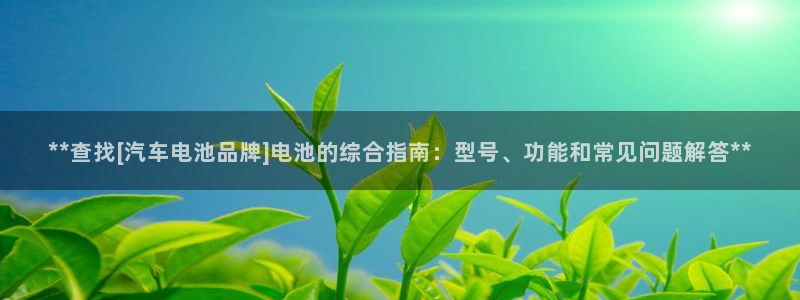 优发国际客服联系方式电话