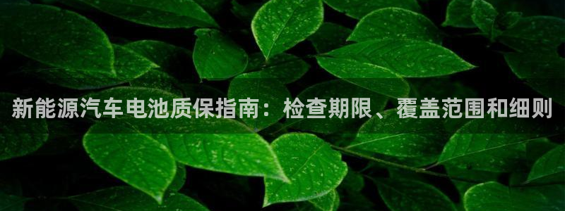 优发国际手机登录下载安装官网