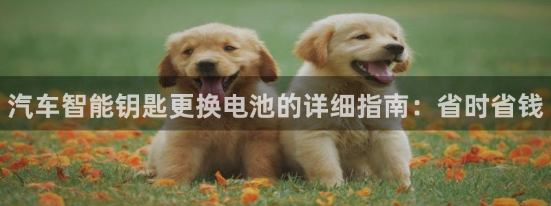 优发国际app官网下载安装苹果