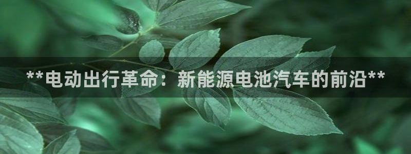 优发国际游戏17岁能玩吗