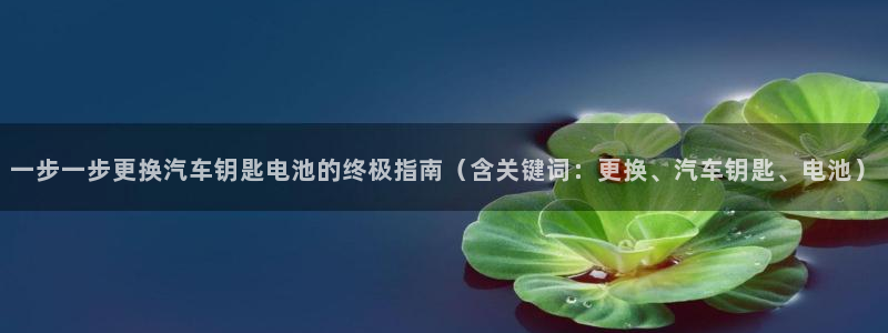 优发国际是大平台吗