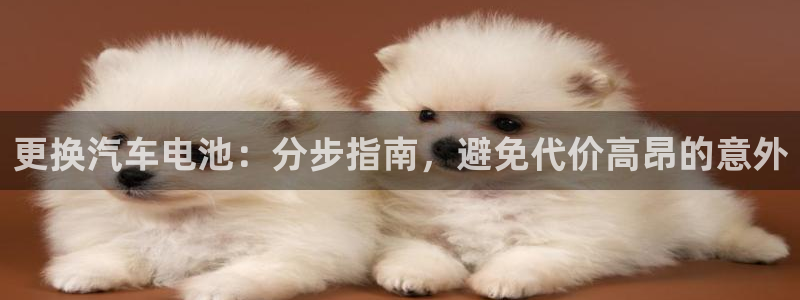 优发国际手机安装登录不了