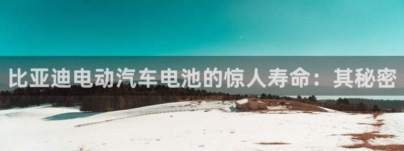 优发国际多少