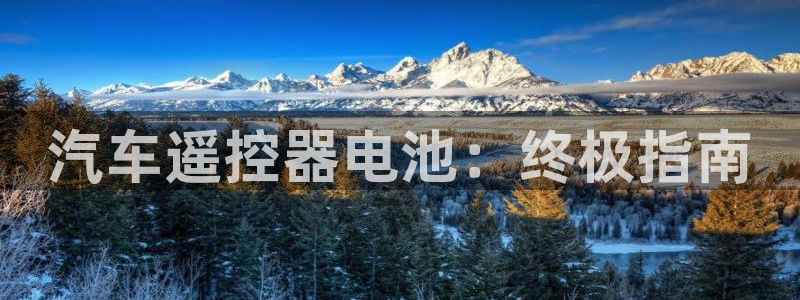 优发国际官网qy88