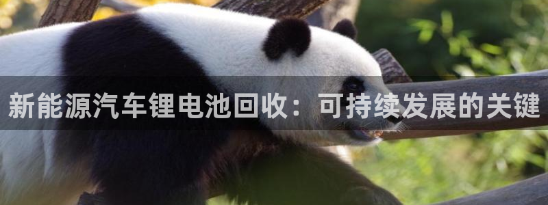 优发国际平台