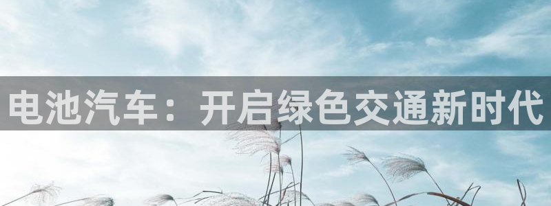 优发国际平台u8是什么公司