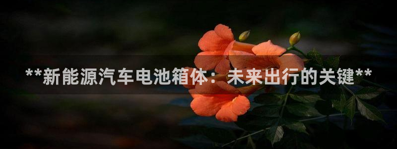 优发国际bob