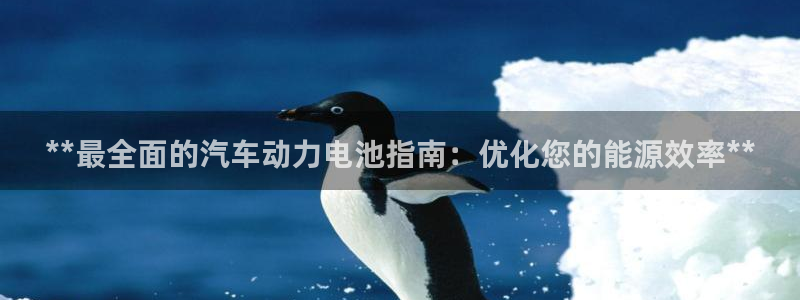 优发国际平台18岁能做吗