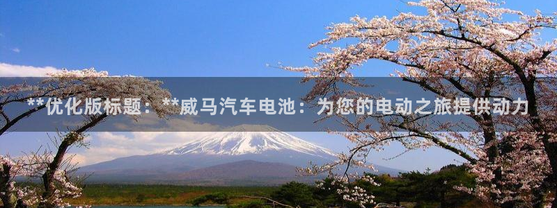 优发国际游戏17