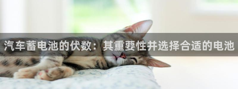 优发国际平台u8是什么公司