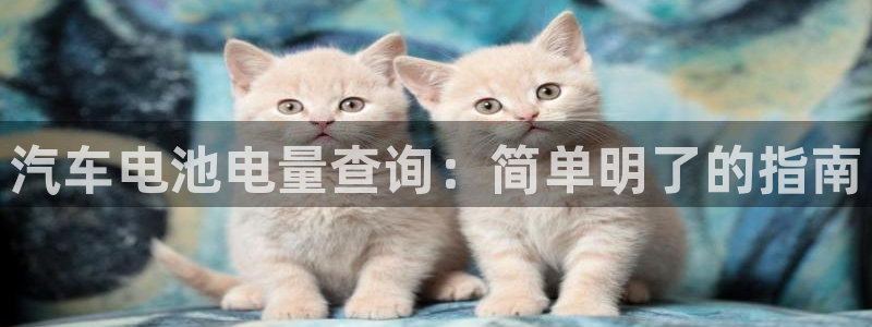 优发国际手机版官网