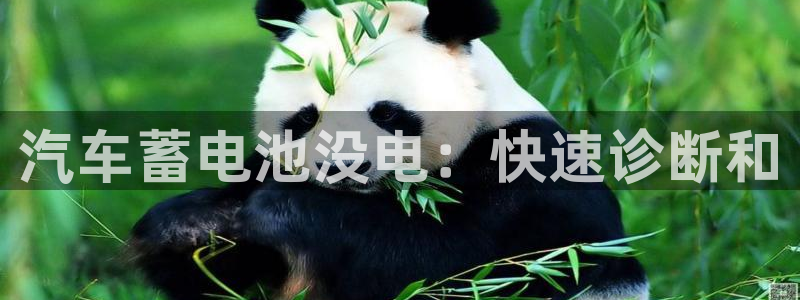 优发国际手机登录下载安装苹果