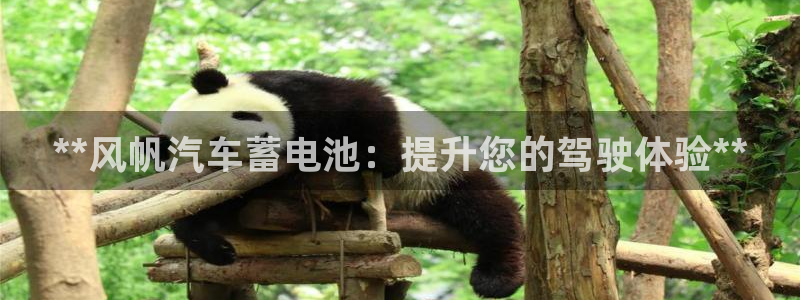 优发国际登录app