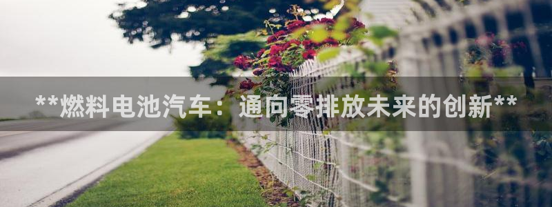 优发国际app登录不了