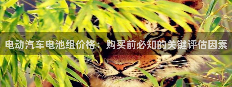 优发国际手机客户端下载不了