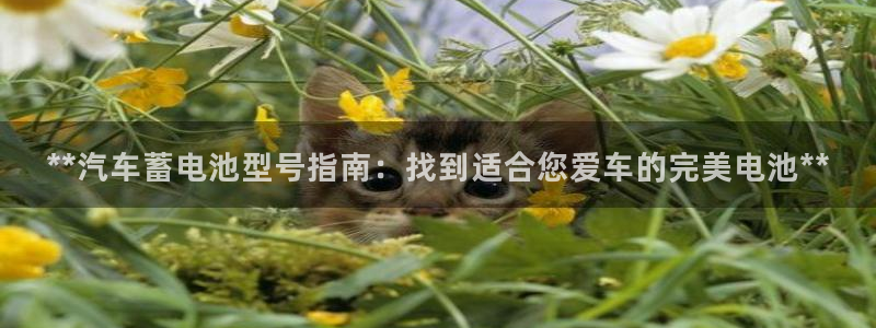 优发国际登录k8