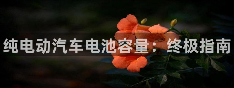 优发国际手机客户端下载官网