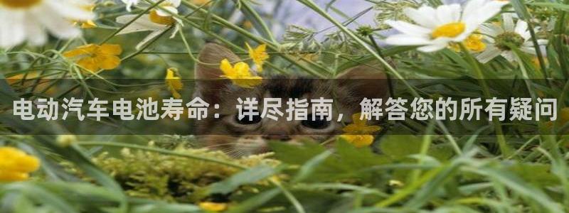 优发国际官网登录