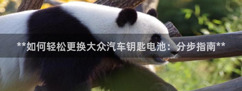 优发国际youfa966