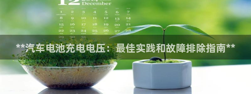 优发国际多少钱