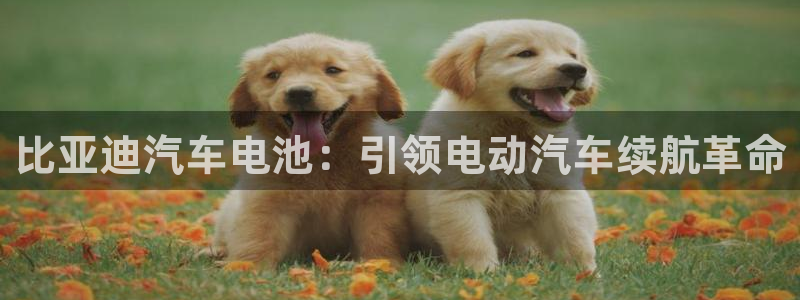 优发国际官网下载安装app
