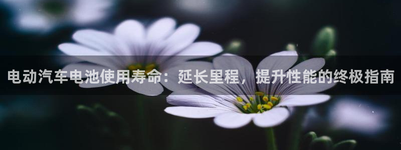 优发国际是不是黑网