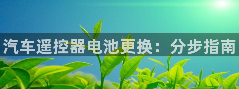 优发国际集团股份有限公司招聘