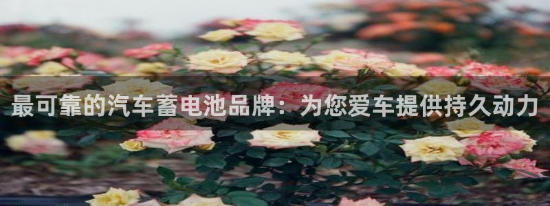 优发国际平台手机版下载