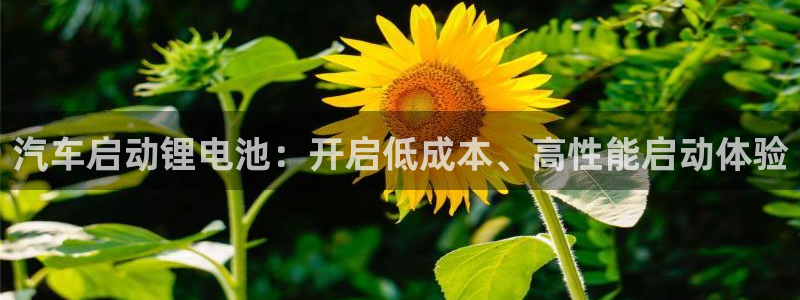 优发国际手机app下载安装苹果