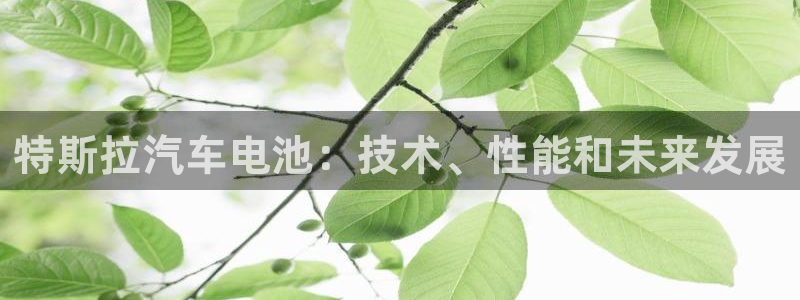 优发国际手机客户端下载安装手机版