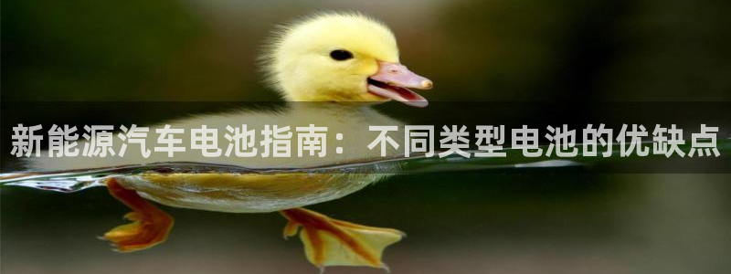 优发国际集团股份有限公司是国企吗