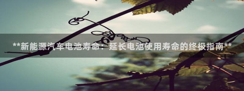 优发国际游戏官网