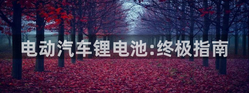 优发娱乐官网地址