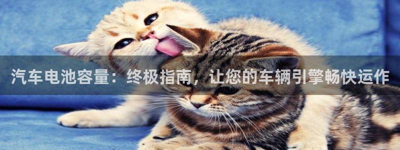 优发娱乐官网地址